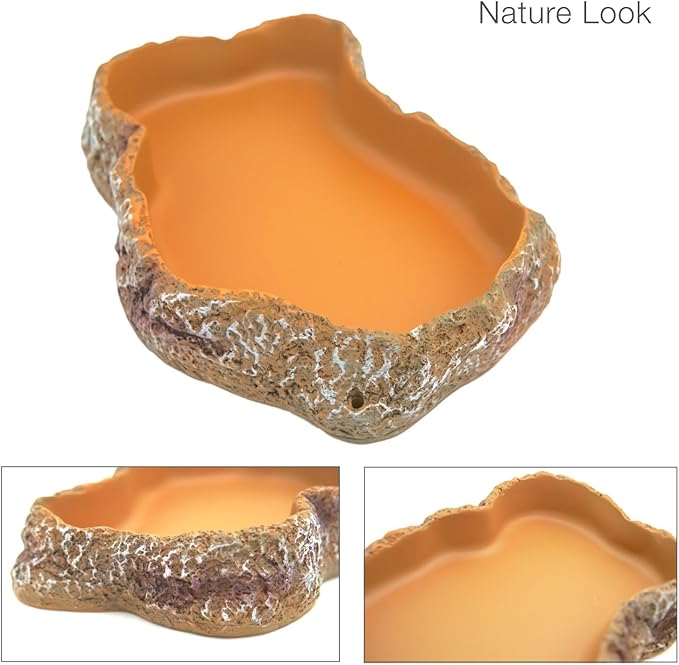 Reptile Food Feeding Dish, Bearded Dragon Food Bowl, Dearded Dragon Tank Accessories (Reptile Feeding Dish, Large)
