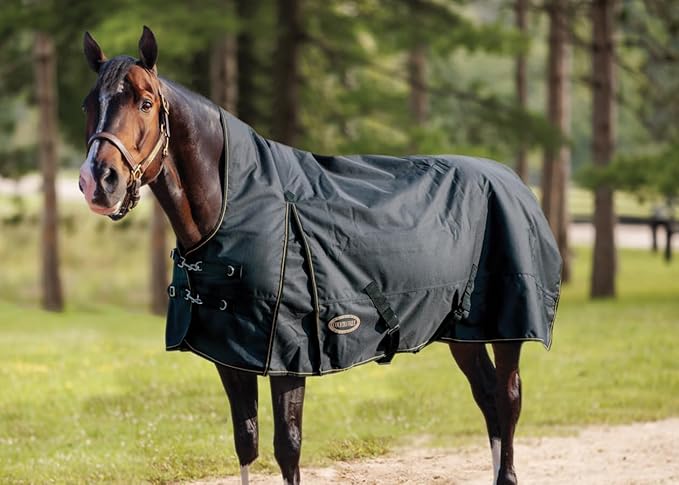 Country Pride Paladin 1200D High Neck Heavyweight Turnout Blanket (76)