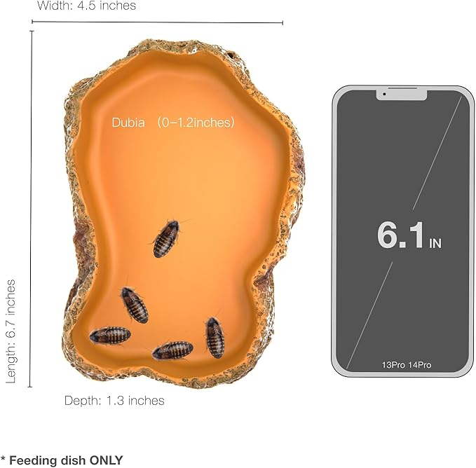 Reptile Food Feeding Dish, Bearded Dragon Food Bowl, Dearded Dragon Tank Accessories (Reptile Feeding Dish, Large)