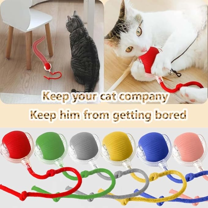 Interactive Cat Toys for Indoor Cats, Agility Move Cat Balls,Motion Activated Cat Balls, Cat Toys for Bored Indoor Cats(Grey)