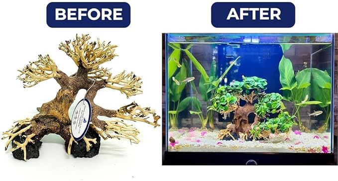 Bonsai Driftwood Aquarium Tree (8in H x 6in L), Handcrafted Fish Tank Decoration | Easy to Install Driftwood Bonsai for Fish Tank | Decor Aquascape Wood (Bonsai Tree On Rocks)