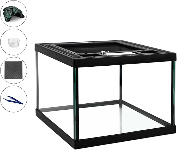 Mini Reptile Glass Tank 8 * 8 * 6inch Terrarium for Start with Top Ventilation for Turtle,Spider,Hermit Crab,Geock,Frog AMD Beard Dragon