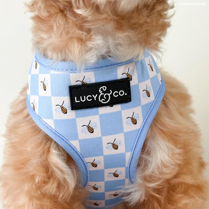 Lucy & Co. Bumbling Around Reversible Dog Harness, Adjustable Comfort Fit with Dual Leash Attachments, Medium