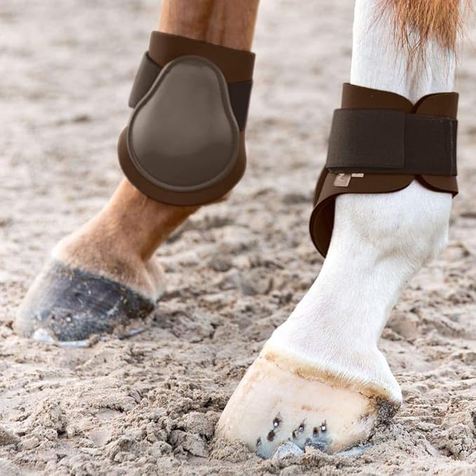 HORZE Chicago Fetlock Rear Boots | Lightweight, Adjustable, Jumping Horse Boots (Pair) - Chocolate Brown - Pony