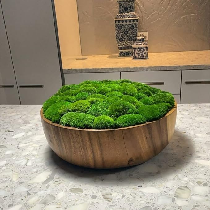 Preserved Pole Moss Pillow Bun Cushion Natural Green Decorative Real Natural Green DIY Kit Terrariums Gardenning Art Wall Decor Florist Decor Easter Table Decor Wedding(12.0 sq.ft., Green-B)