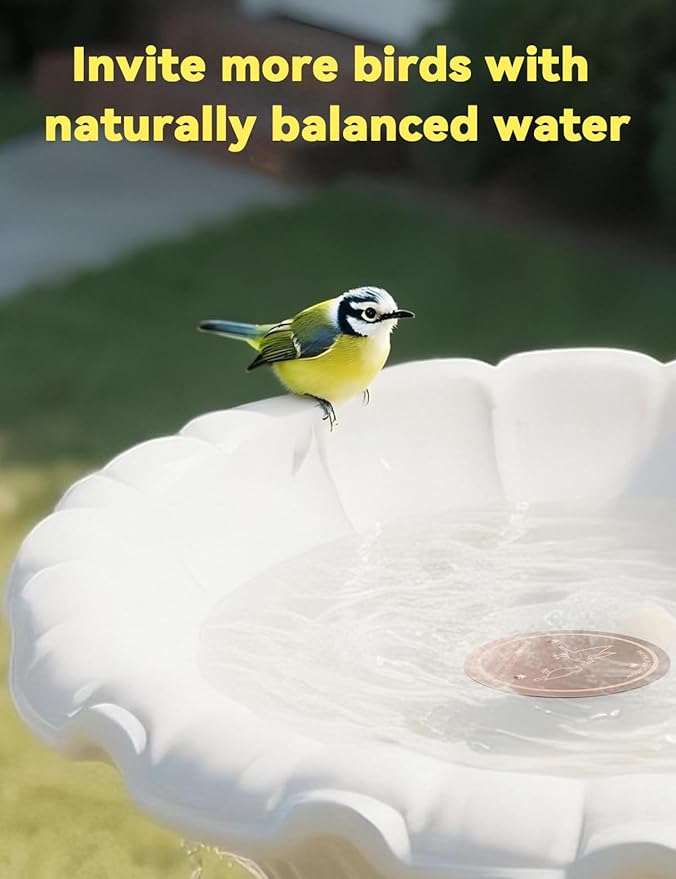 CNARIO Copper Disk for Bird Baths, Bird Baths 99.99% Pure Copper Cleaning Disk, Safe Natural Solution, 0.6mm Thick with Stable Triple-Point Support, All-Season Use