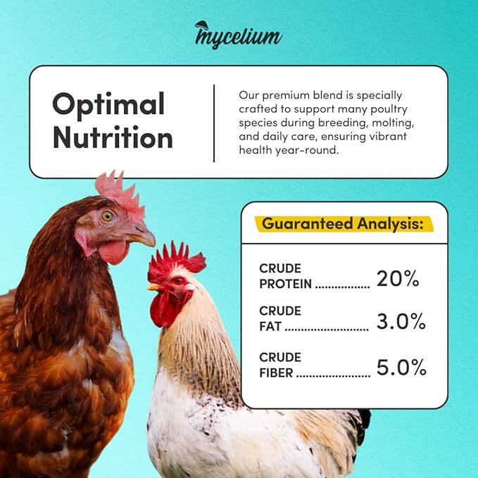 Mycelium Poultry Super Flock Food | High Protein Bird Food with Vitamins & Corn for Chicken, Turkey, Duck & Geese | Supports Growth, Egg Production, Feather & Immune Health | 5 lb Bag