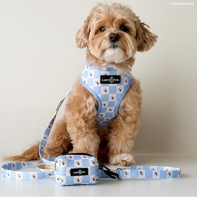 Lucy & Co. Bumbling Around Reversible Dog Harness, Adjustable Comfort Fit with Dual Leash Attachments, X-Small