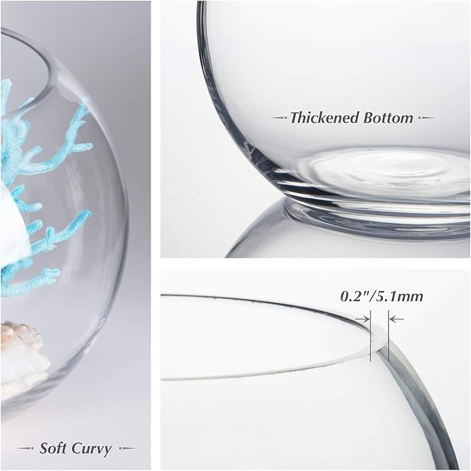 WGV Bowl Glass Vase Bulk, Diameter 8", Height 6", Open Width 5", (Multiple Sizes Choices) Clear Bubble Planter Terrarium Fish Bowl for Wedding Event Home Decor, 6 Pieces (VBW0008A)