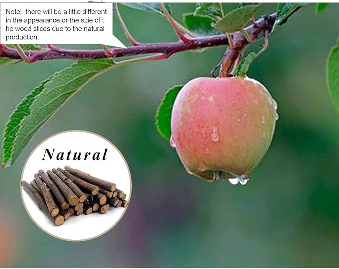 William Craft Apple Sticks Pet Chew Toy Treats for Chinchilla Guinea Pigs Rabbits Squirrel Hamster Bunny