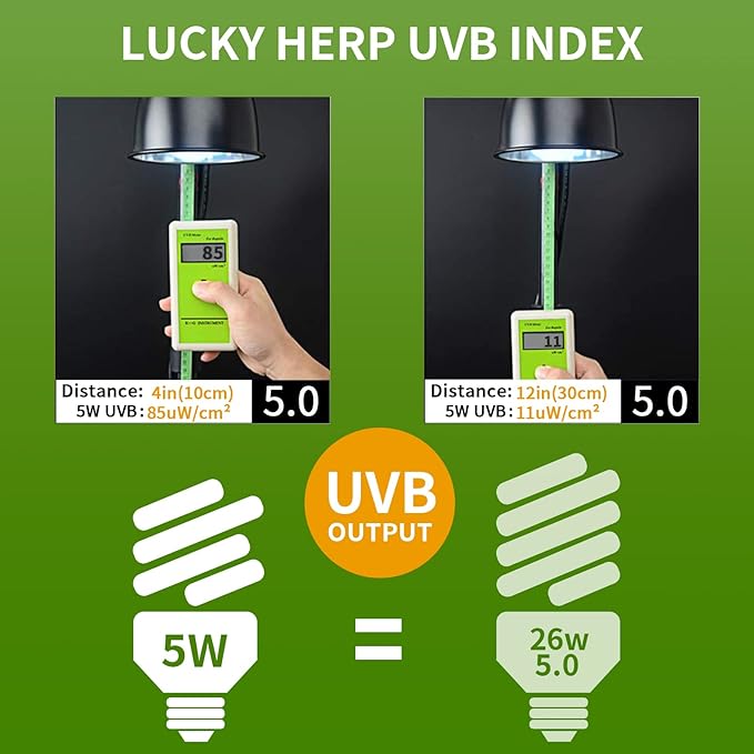 LUCKY HERP Mini UVA UVB Reptile Light 5.0 5W, UVB Bulb for All Tropical and Sub Tropical Reptiles, Compact Fluorescent Reptile UVB Bulb for Chameleons, Turtle, Gecko, Lizard, etc.
