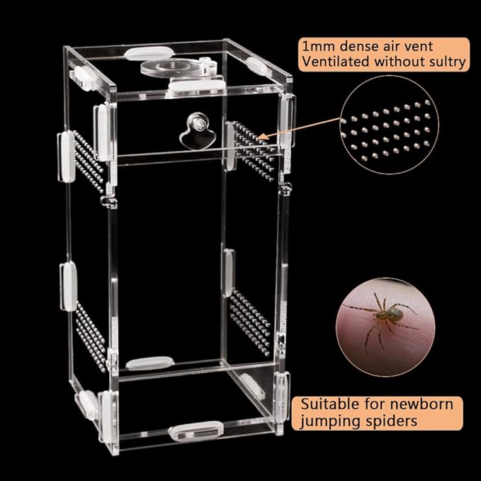 Acrylic Jumping Spider Enclosure, Small Reptile Terrarium Habitat for Tarantula Snail Insect Small Reptile (3.3x3.7x7inch)