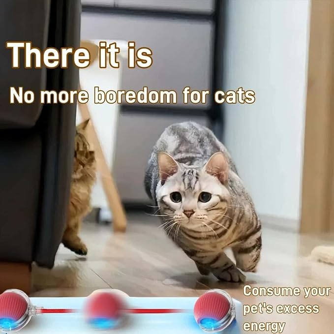 Interactive Cat Toys for Indoor Cats, Agility Move Cat Balls,Motion Activated Cat Balls, Cat Toys for Bored Indoor Cats (Blue)