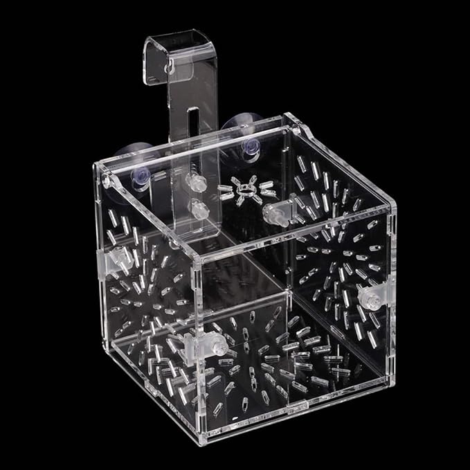 GLOGLOW Aquarium Breeding Isolation Box, Transparent Acrylic Fish Isolation Box Fish Separator with Suction Cups for Small Baby Fishes Shrimp Clownfish Guppy(10CM*10CM*10CM)