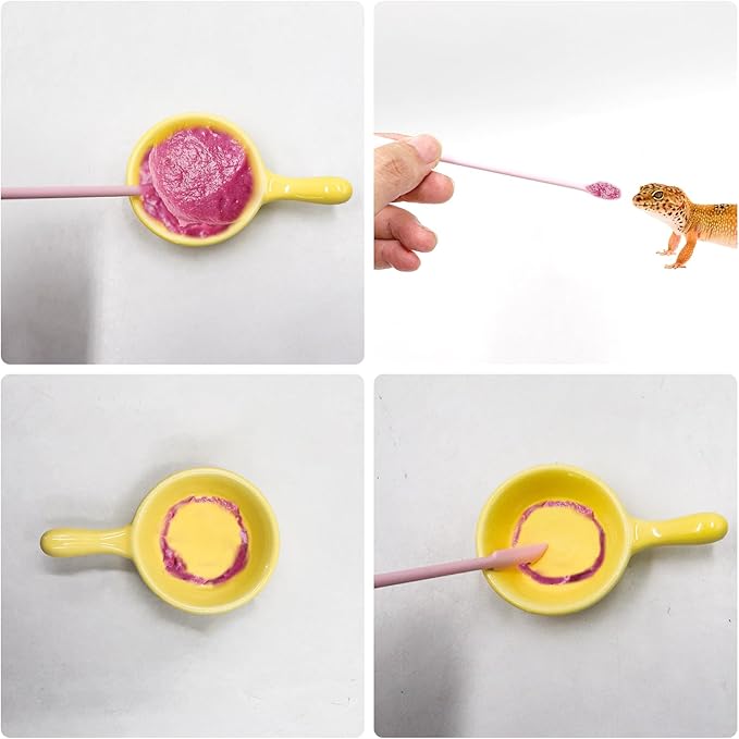 Gecko Accessories, Ceramic Food Bowl with Silicone Spoon for Puree, Reptile Food Dish for Crested, Leopard