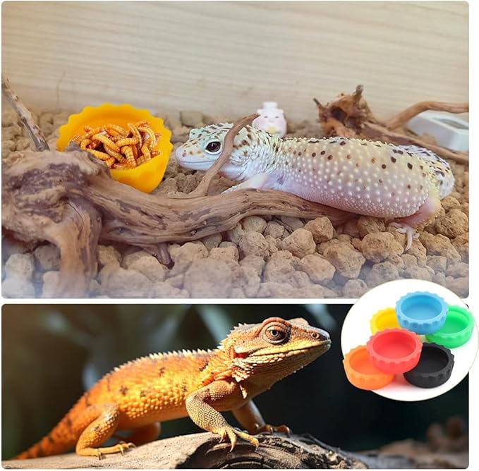 6 Pack Crested Gecko Small Food Dish Reptile Water Bowl Silicone Shallow Feeder for Small Reptile Lizard Gecko Frog Snake Turtle Hermit Crab (Small: 0.98" D, 0.43" H)