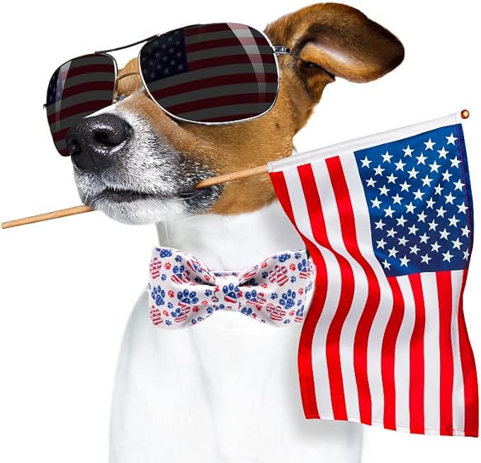 Lionheart American Flag Dog Collar with Bow - Adjustable for Medium Dogs