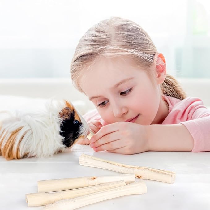 Sofier 300g Sweet Bamboo Chew Sticks for Rabbit, Bunny, Guinea Pig, Hamster - Natural Handmade Treats and Chews for Teeth - Chinchilla, Rat, Gerbil Toys