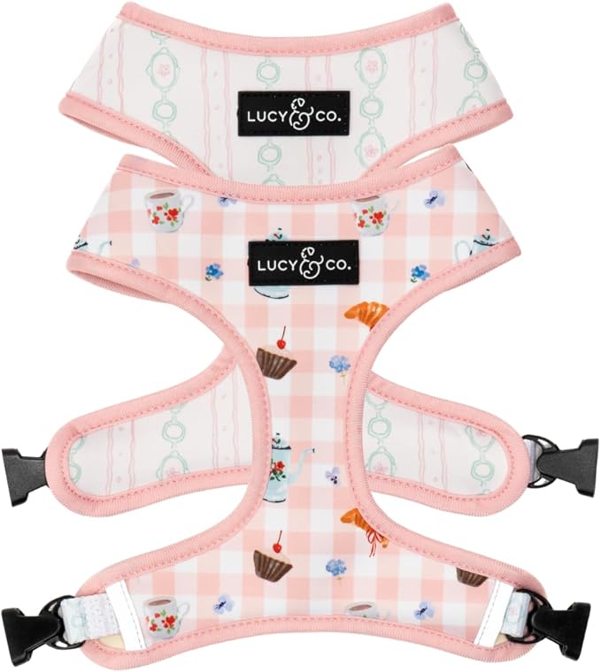 Lucy & Co. Sipping Slowly Reversible Dog Harness, Adjustable Comfort Fit with Dual Leash Attachments, X-Small