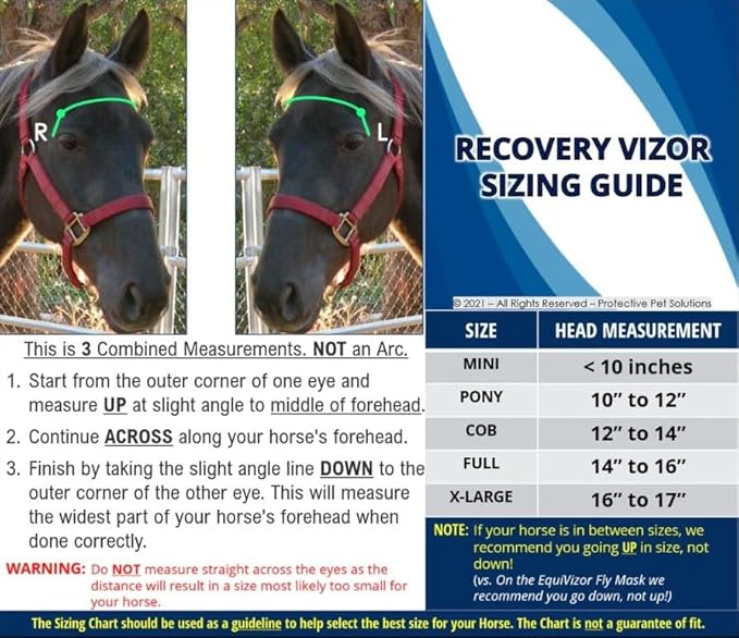 Recovery Vizor (Size Mini/Foal - Clear UV Tint) Medical and Preventative Horse Eye (Goggle) Protection Mask for Uveitis/Injury/Scratch or Corneal Ulcer, Infection, Blindness, Photosensitivity