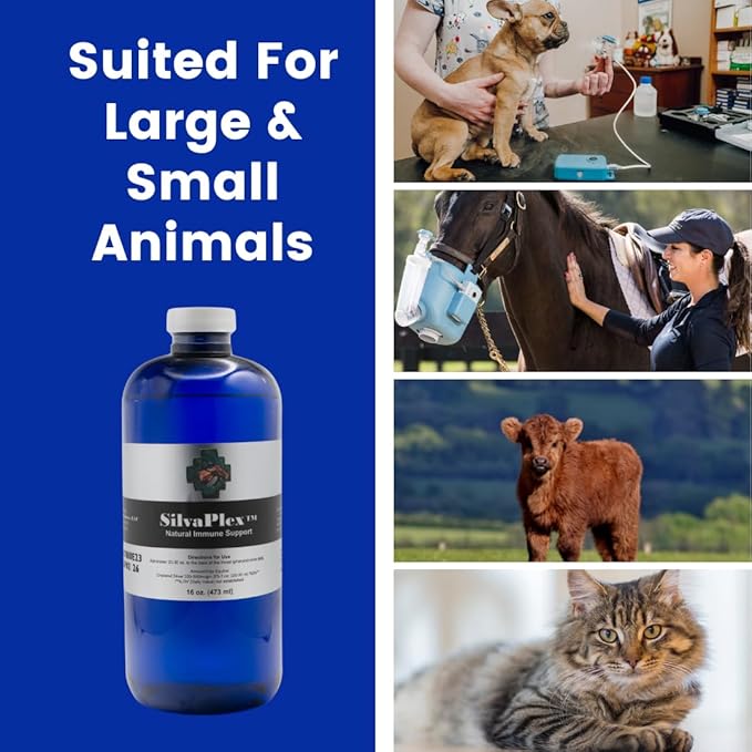 Natural Immune Support Solution for Dogs, Cats, Horses, Small Animals, 100 PPM Chelated Silver (8 oz)