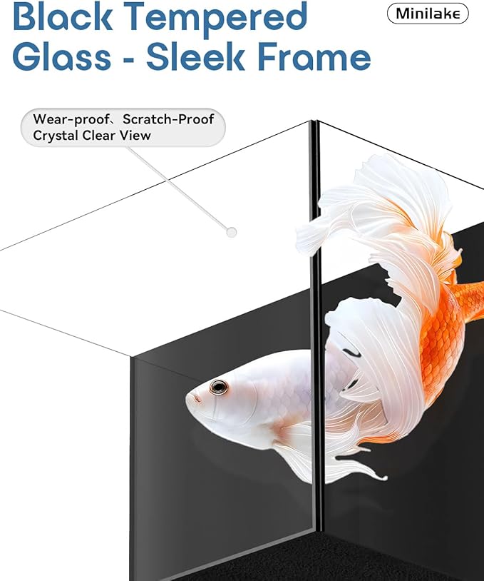 Glass Fish Tank Kit, 2.5 Gallon Betta Fish Tank Aquarium Starter Kit with Filter, Lights, Lid, for Betta, Goldfish, Small Fish or shrimg