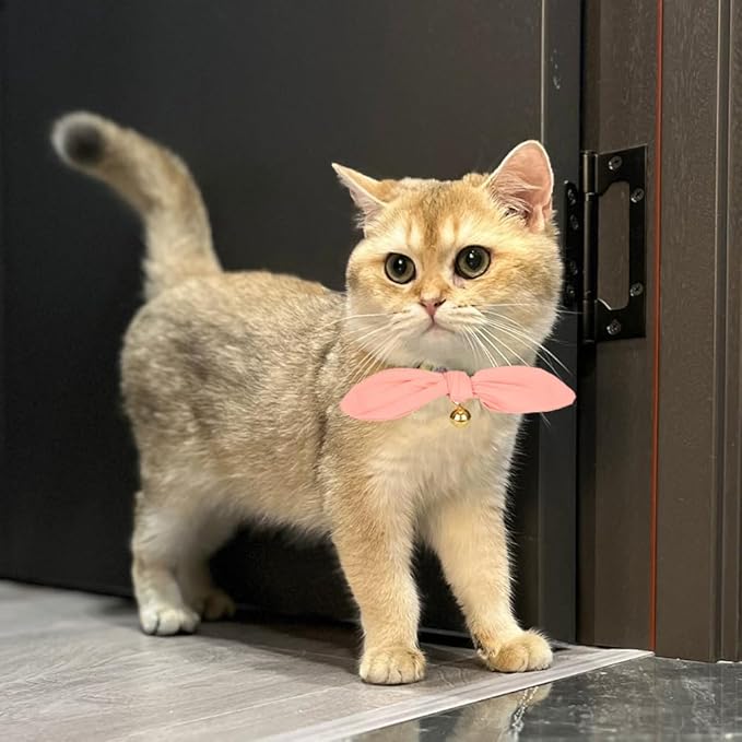 Bunny Ear Cat Collar with Bell and Bow Tie, Breakaway Cute Bowtie Kitten Collars(Coral Orange)