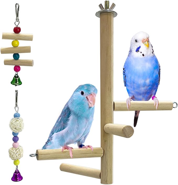 Hamiledyi Bird Perch Stand Toy Natural Wood Perch Stand Birds Toys Parakeet Toy with Rotating Balls Spinning for Parakeets Cockatiels Conures Budgies Finches Love Birds
