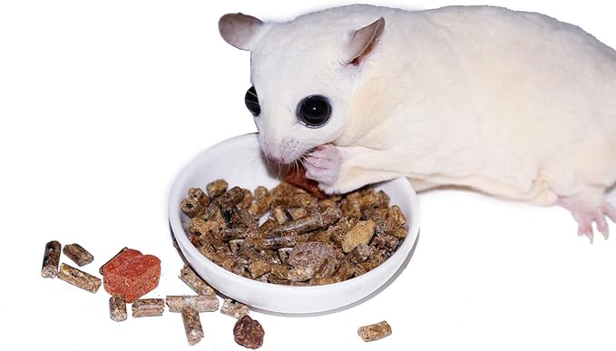 Glider Complete - Healthy High Protein Nutritionally Complete Staple Diet Sugar Glider Food (2 lb)