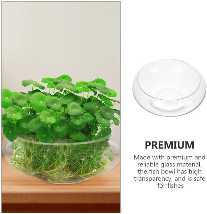 VOSAREA Glass Vase Bowl Glass Bubble Bowl Terrarium Succulent Planter Air Plants Hydroponic Display Floating Candles Clear Bubble Fish Aquatic Plant Pot Daffodil Pot (9.82X9.82X3.93in)