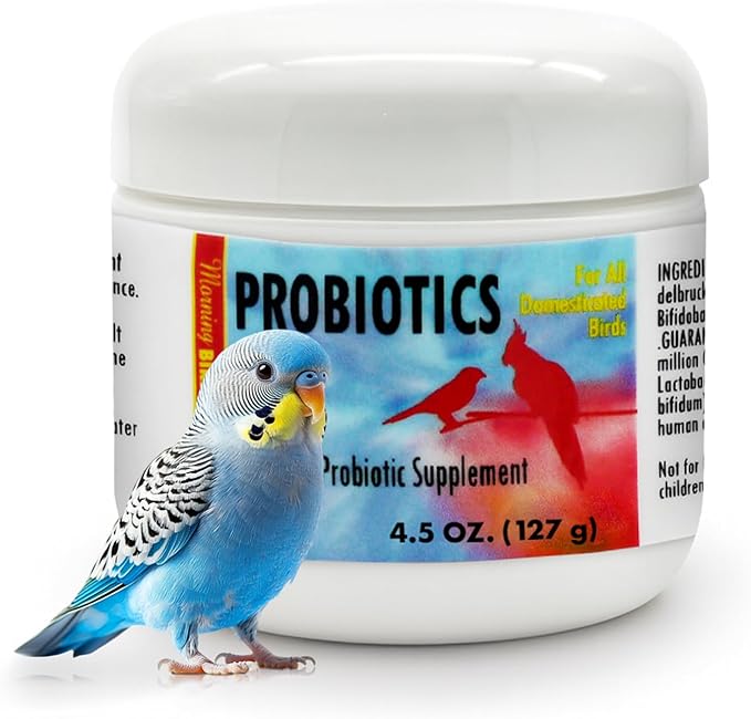 Morning Bird Probiotics for Birds 4.5 oz – Digestive Health Supplement Supporting Gut Balance, Nutrient Absorption & Immune Support – Easy Mix Powder Supplement for All Bird Species