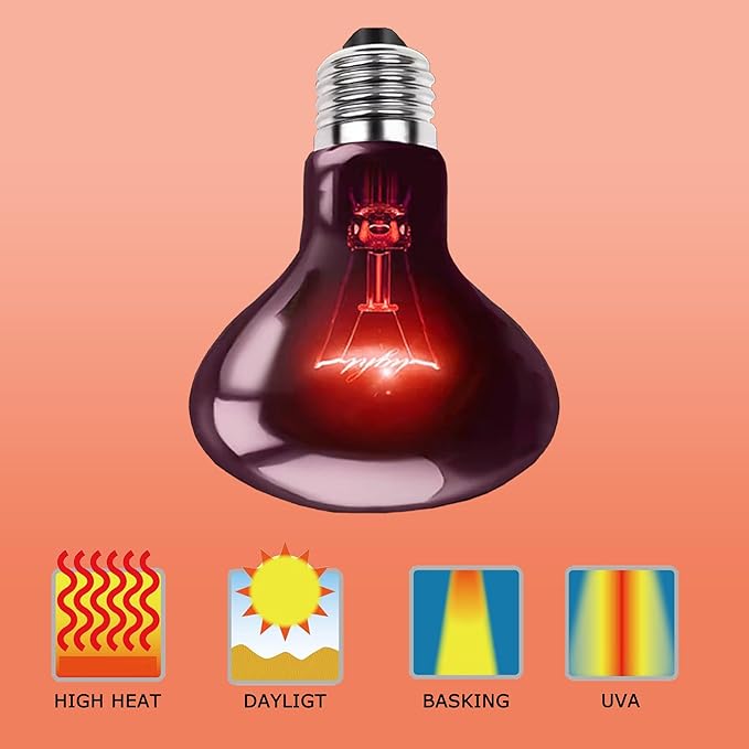 75W Infrared Basking Spot Light Bulbs – Ideal for Reptiles & Amphibians Like Bearded Dragons, Snakes, Turtles & Lizards; Red Heat Lamp for Pet Brooders, Terrariums & Turtle Tanks | 2 Pack