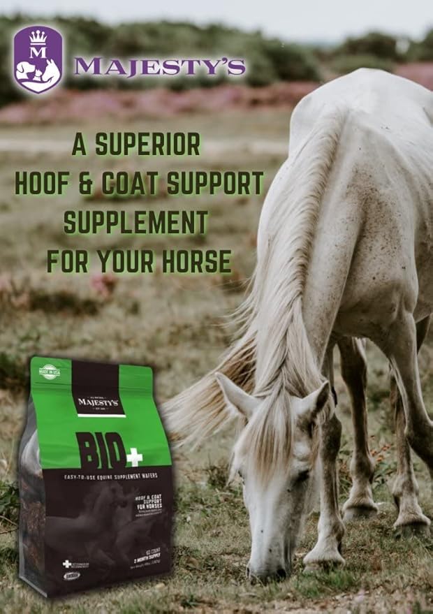 Majesty's Biotin Wafers - Superior Horse / Equine Hoof and Coat Support Supplement - Copper, Zinc, Lysine, Methionine - 30 Count (1 Month Supply)