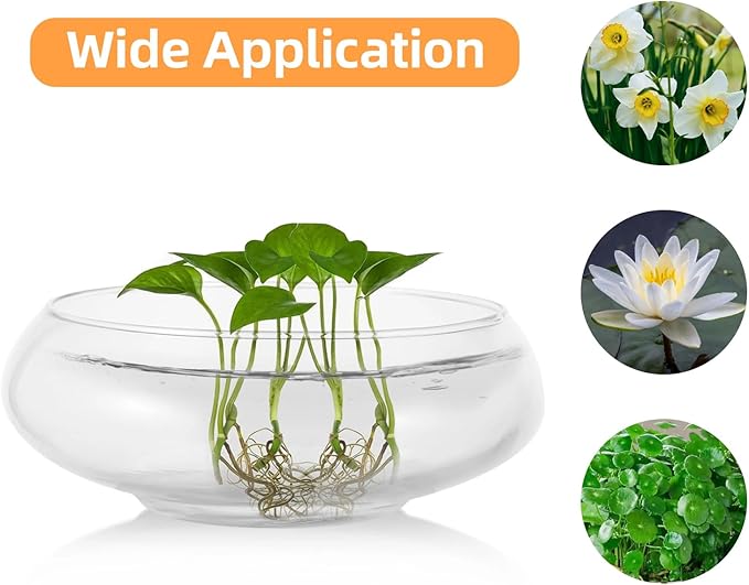 2 PCS Round Glass Vase Bowl, 6"/ 8" Wide Mouth Clear Glass Fish Bowls, Lotus Bowl, Succulent Planters, Hydroponic Planter Floral Decor Centerpieces for Home Decoration (2PCS)