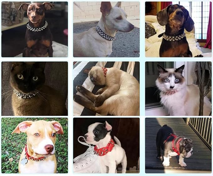 Spiked Dog Collar Soft Pu Leather Mushrooms Rivet Spike Studded Puppy Adjustable Pet Collars for Small Breeds (S, Brown)