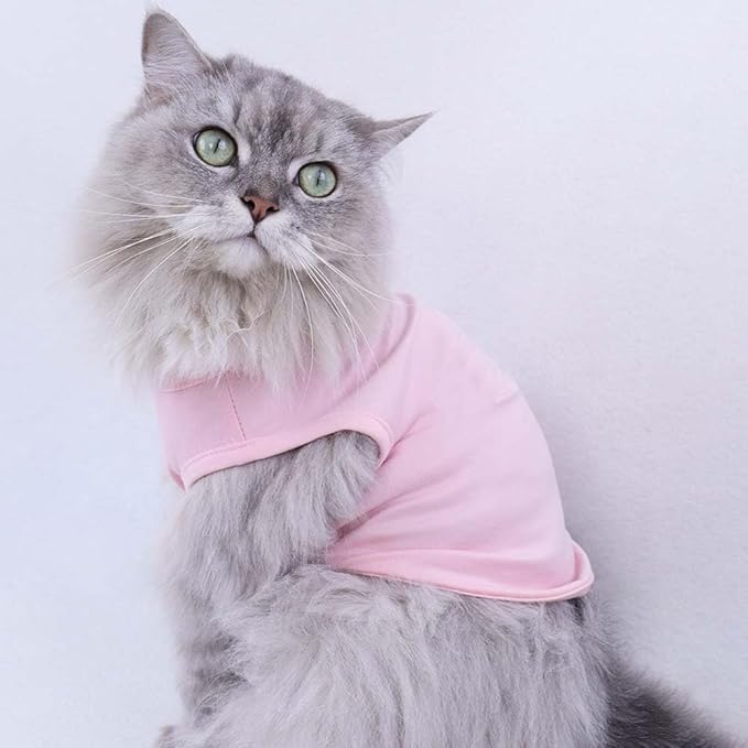 Custom Dog Birthday Shirt,Personalized Pet Apparel Print with Name Age Number,Pet Birthday Outfit,Lightweight Breathable Cotton Vest for Small Medium Large Dogs Cat (Grey, X-Large)