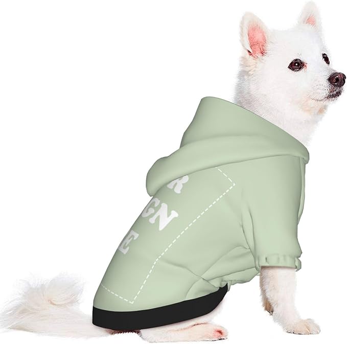 Personalized Chihuahua Dog Hoodie, Custom Pet Warm Sweatshirt Costume with Name Number Photo, Customize ID Clothes for Pupppy Kitten Dogs Cats, LightGreen, L