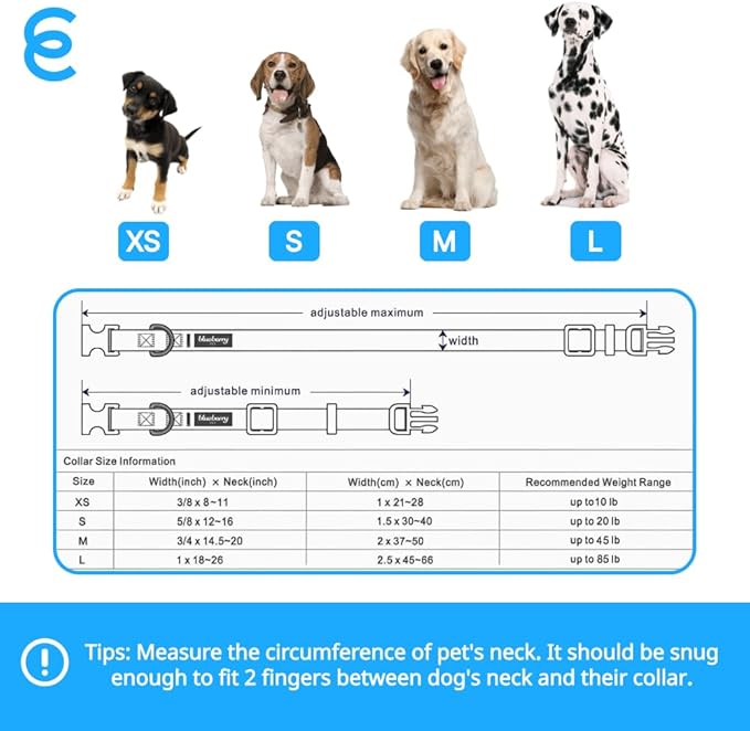 Blueberry Pet Essentials Reflective Dog Collar for Medium Dogs | Adjustable Nylon Collar in Sky Blue | Classic Solid Color Matching Medium Dog Collar