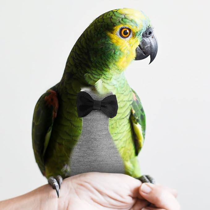 balacoo Bird Diapers Parrot Flight Suit: 4PCS Washable Flight Suite Liners Waterproof Pigeon Pants Flying Bird Diapers for Macaw Parakeet