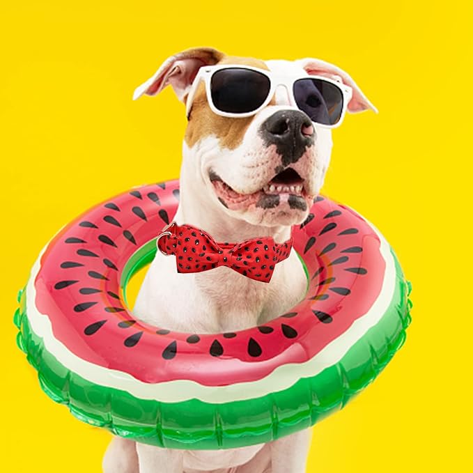Lionheart glory Dog Collar, Watermelon Dog Collar with Bow, Summer Dog Bowtie Collar Cute Pet Collar Gift for X-Small Puppy and Cat