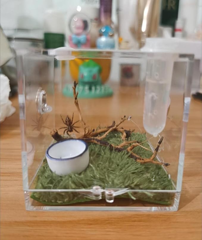 Spider Terrarium, Acrylic Reptile Breeding Box Jumping Spider Enclosure with Dropper Tongs Snail cage, Cricket Enclosure arboreal Tarantula Habitat