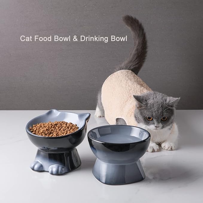 Nihow Ceramic Raised Cat & Dog Bowls: 5 Inch Elegant Gray (2 PC), Protecting Pet's Spine, Feeding & Watering Supplies, Modern Design, Anti Vomiting, Whisker Friendly