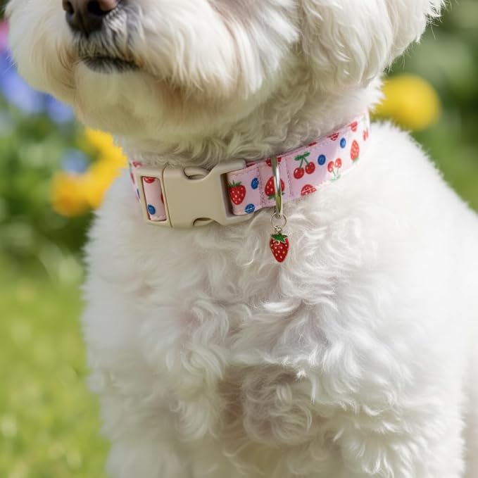Girl Dog Collar, Cute Dog Collar for Medium Dogs with Cute Strawberry, Cherry and Blueberry Print, Pink Collar for Dogs with Quick-Release Buckle and Robust D Ring, M