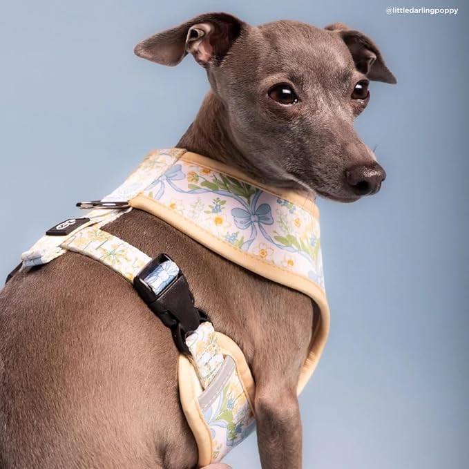 Lucy & Co. Sunshine and Daffodils Reversible Dog Harness, Adjustable Comfort Fit with Dual Leash Attachments, Small