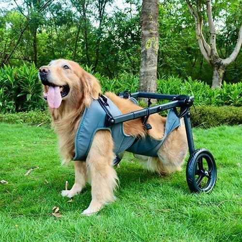 Pet Trolley Adjustable Hind Leg Disabled Dog Mobility Aid Light Rehabilitation Legs Wheelchair Walk Tools(XX-Large)