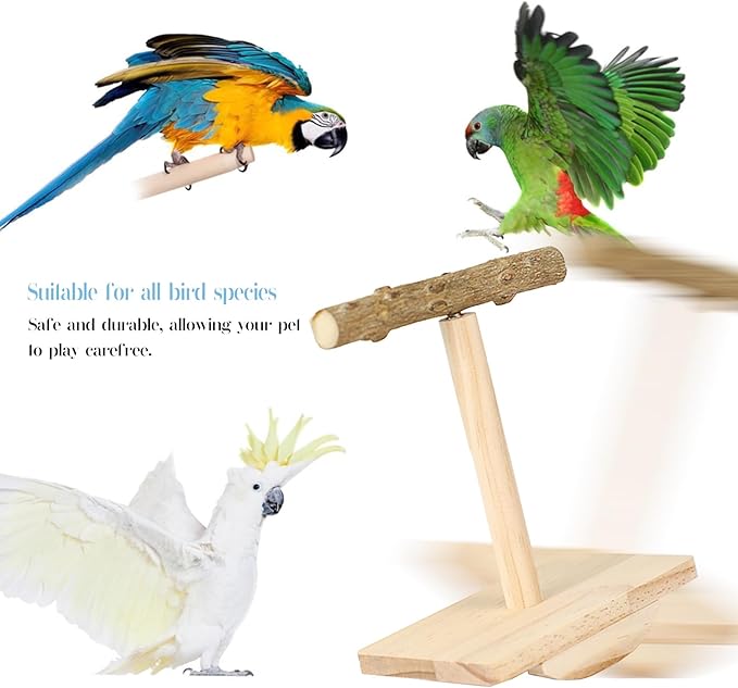 Bird Stand Perch Toy,Interactive Rocking Parakeet Toy and Perch, Wooden Exercise Wheel Cockatiel Toy, Intelligence Puzzle Enrichment Toys,Bird Playground Play Stands for Conure Budgie(B)
