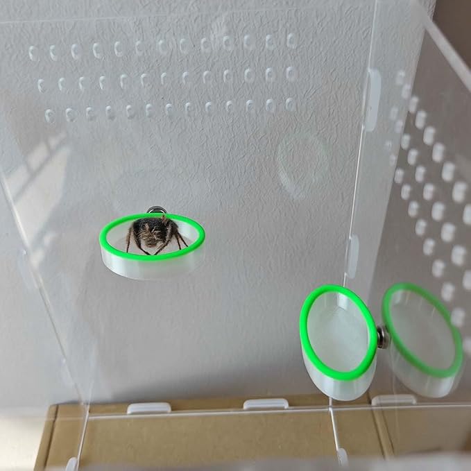 Jumping Spider Enclosure Accessories 4Pcs Magnetic Jumping Spider Feeding Dish Set, Reptile Feeding Tongs or Water Bowl Transparent PETG Material with Green Edge