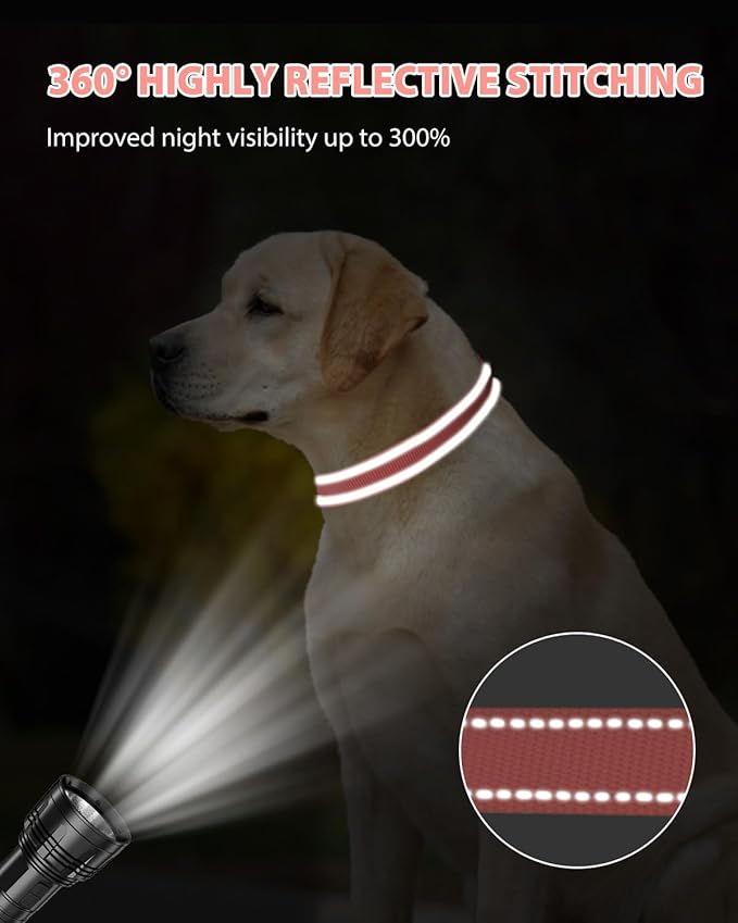 Joytale Reflective Dog Collar, Adjustable Nylon Pet Collar with Quick-Release Buckle for Medium Dogs, Pink, M