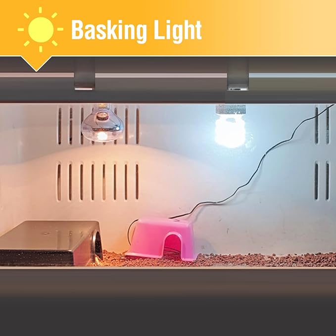 Leoterra Reptile Heat Lamp Bulb 50W 2-Pack, UVA Basking Bulb for Bearded Dragon, Tortoise, Gecko & Chameleon, E26 Base Reptile Heating Lamp for Terrarium, Long-Lasting, Applicable Thermostats 120V