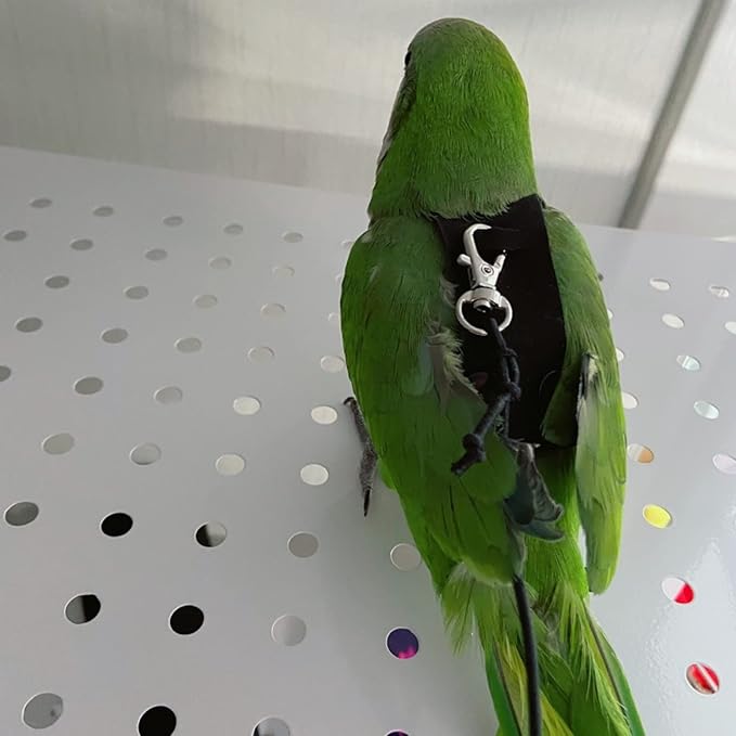 Bird Flight Harness Vest, Parrot Flight Suit with Leash for Parakeets Cockatiels Conures Budgies, Bird Flying Clothes with Rope and Handle for Outdoor Activities Training, Anti Bite (X-Large)